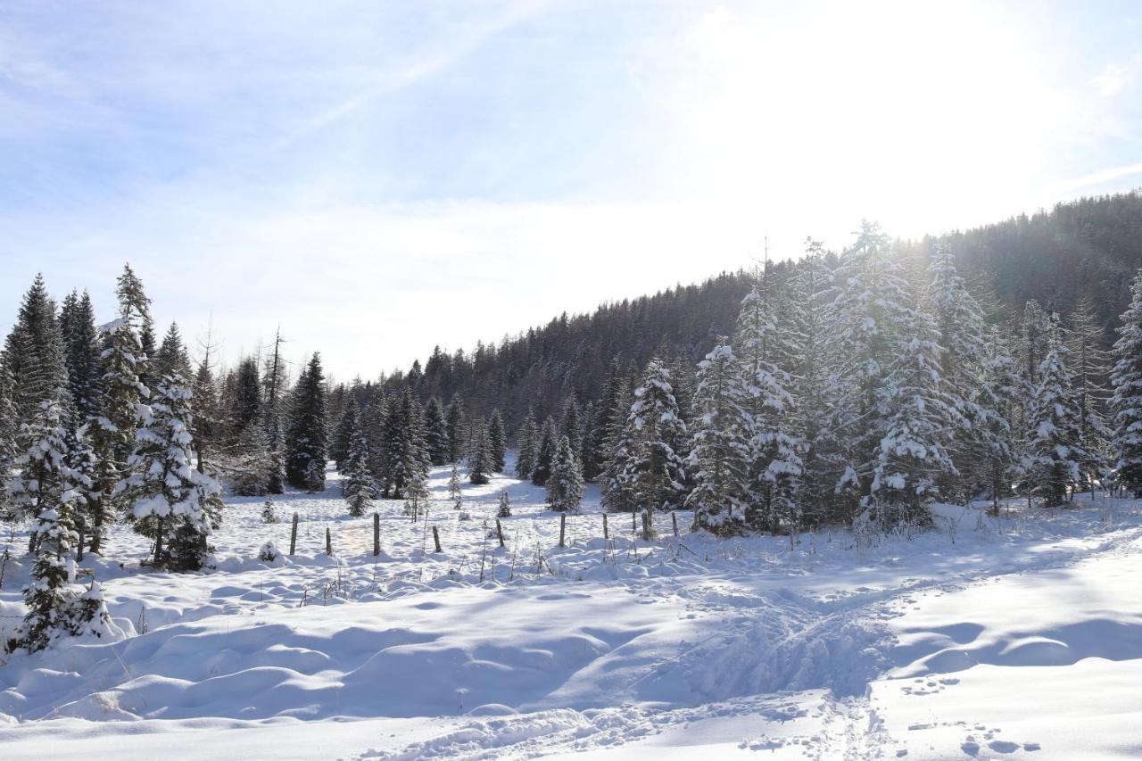 Вілла Almzauber Chalets Гокріндл Екстер'єр фото